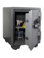 FP53A - Image 2