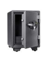 FP60A - Image 2
